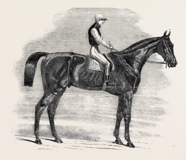 "WEATHERGAGE," WINNER OF THE CESAREWITCH STAKES, AT NEWMARKET, 1852
