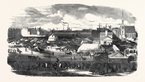 SHOW OF THE MANCHESTER AND LIVERPOOL AGRICULTURAL SOCIETY, IN THE HAYMARKET, GREAT HOMER STREET,