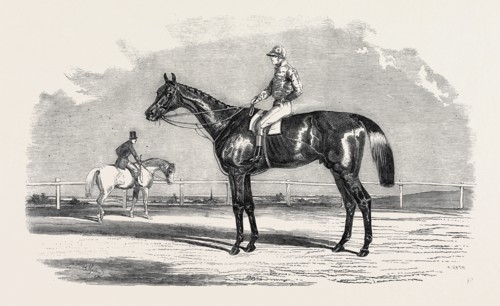"KINGSTON," THE WINNER OF THE GOODWOOD CUP, 1852