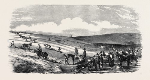 THE ROYAL AGRICULTURAL SOCIETY OF ENGLAND, MEETING AT LEWES: TRIAL OF IMPLEMENTS, AT THE WALLANDS,