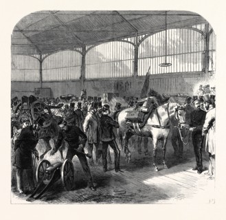 OFFICIAL INSPECTION AT WOOLWICH OF THE MOUNTAIN BATTERY FOR THE ABYSSINIAN EXPEDITION, UK, 1867