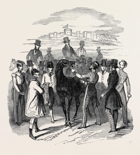 SKETCH FROM THE WINDSOR STEEPLE CHASE.