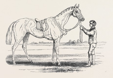 "ALICE HAWTHORN," THE WINNER OF THE GOLD VASE, AT ASCOT RACES, FROM A PAINTING BY HERRING