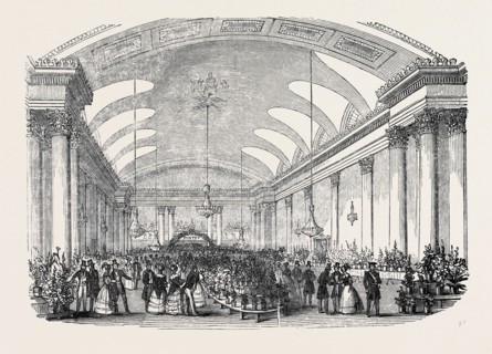 THE ROYAL DEVON AND CORNWALL BOTANICAL AND HORTICULTURAL SOCIETY'S SHOW, ASSEMBLY ROOM, PLYMOUTH.