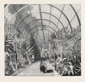 THE GREAT CHATSWORTH CONSERVATORY: THE INTERIOR, FROM THE CENTRAL WALK
