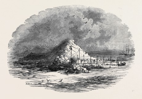 THE ISLAND OF ICHABOE