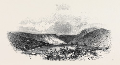 GLEN TILT