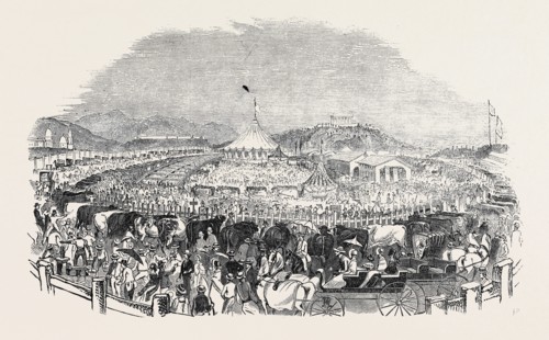 THE GREAT POUGHKEEPSIE CATTLE SHOW