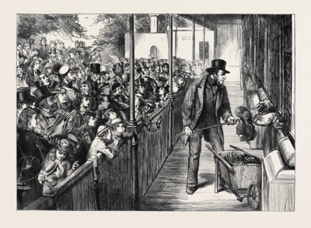 THE STATUTE HOLIDAY: THE ZOOLOGICAL SOCIETY'S GARDENS, REGENT'S PARK, LONDON, 1871