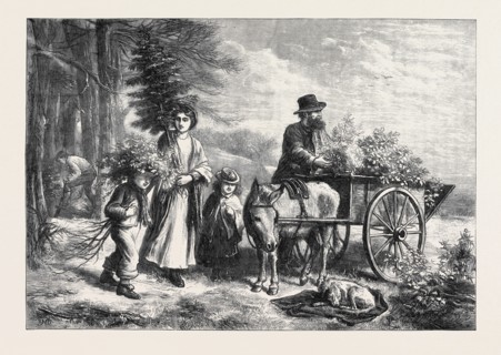 FOR THE SQUIRE'S HALL, DRAWN BY E.N. DOWNARD, 1871