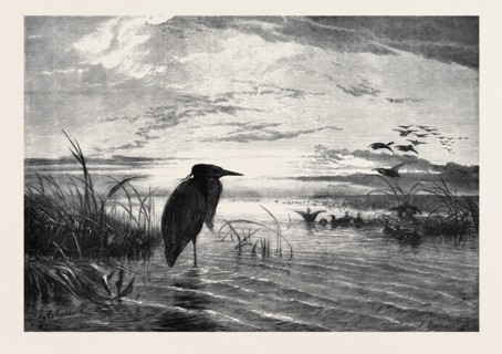 THE MONTHS: A SOLITARY CHRISTMAS EVE