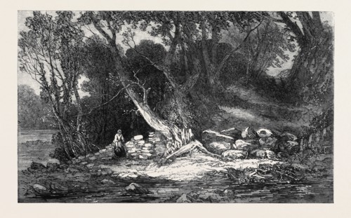 "THE WOODLAND GLADE," BY G. CHESTER, FROM THE ROYAL ACADEMY EXHIBITION