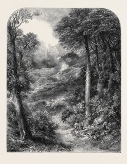 "THE PATH TO BLACKDOWN AND THE SURREY HIGHLANDS," BY J.W. WHYMPER, FROM THE EXHIBITION OF THE NEW