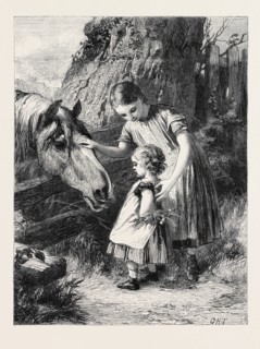 "WANT OF CONFIDENCE," BY G.H. THOMAS, FROM THE EXHIBITION OF THE ROYAL ACADEMY