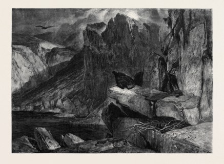 "THE EAGLE'S NEST," BY SIR E. LANDSEER IN THE SOUTH KENSINGTON MUSEUM