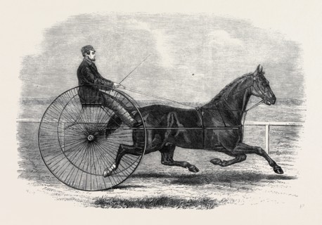 JACKEY, THE WINNER OF THE LATE AINTREE TROTTING STAKES AT LIVERPOOL