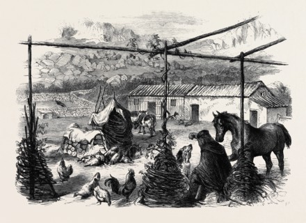 GARIBALDI'S FARMYARD, CAPRERA