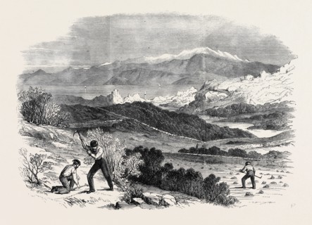 GARIBALDI DIGGING ROOTS IN HIS FAVOURITE GARDEN, CAPRERA