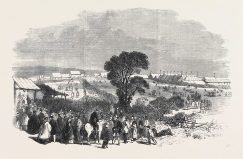 MEETING AT TRURO OF THE BATH AND WEST OF ENGLAND AGRICULTURAL SHOW