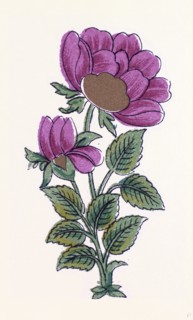 Persian ornament