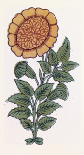 Persian ornament