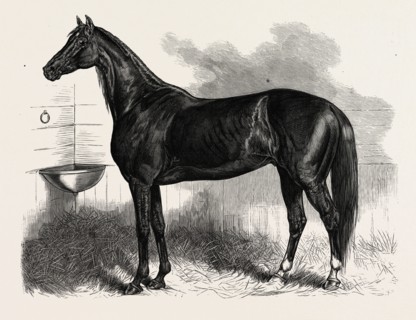 CONNECTICUT: ST. JULIEN, WHO BEAT HIS OWN AND THE BEST ONE-MILE RECORD, AT THE CHARTER OAK COURSE,