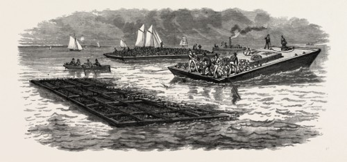 SOUTH CAROLINA: THE SOUTH IN 1880: CONSTRUCTION OF JETTIES FOR THE IMPROVEMENT OF CHARLESTON HARBOR