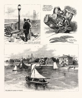 NORTH CAROLINA: THE SEASIDE SCHOOL OF THE JOHNS HOPKINS UNIVERSITY OF BALTIMORE, AT BEAUFORT