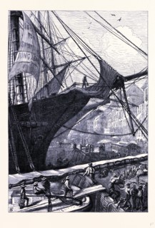 At the wharf in New York, United States of America