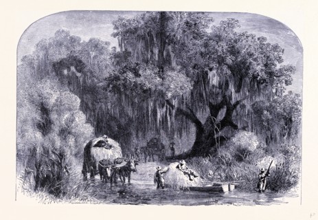 Rural life, United States of America
