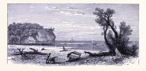 The river mouth of the Rocky River, United States of America