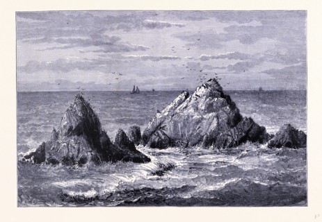 Seal Rocks, United States of America