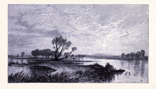 San Joaquin River, United States of America