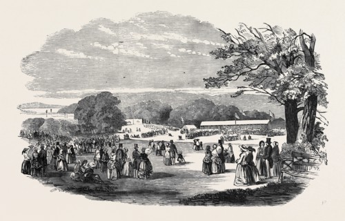 FETE IN BRADLEY WOODS, DEVON