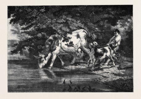 The Watering Place