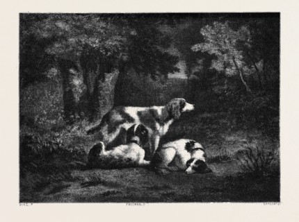 THE DOGS IN THE FOREST, BY DIAZ; Les Chiens dans la forÃƒÂªt, par Diaz.
