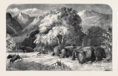 MR. GORDON CUMMING'S LECTURE, RIDING OUT THE BEST IVORY ELEPHANT, SHOOTING FROM THE SADDLE, PAINTED