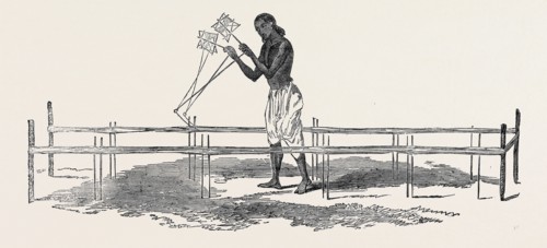 INDIAN COTTON, THE WEBS OF DACCA: WARPING.