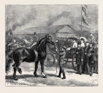 THE ROYAL AGRICULTURAL SOCIETY'S SHOW AT BEDFORD, HORSE PARADE BEFORE THE CROWN PRINCE AND PRINCESS