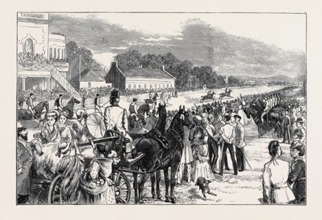 CAMP LIFE AT THE CURRAGH: THE IRISH DERBY, THE PREPARATORY GALLOP, AUGUST 1, 1874