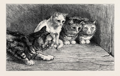 AN EXCITING TAIL, FROM THE DRAWING BY PERCY MACQUOID IN THE BLACK AND WHITE EXHIBITION