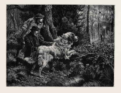 CATCHING A POACHER