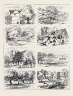 THE PRESERVATION OF EPPING FOREST 1. Queen Elizabeth's Lodge, Epping Forest. 2. Whipp's Cross. 3.
