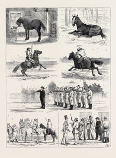 THE RECENT REVOLUTION IN THE ARGENTINE CONFEDERATION, SKETCHES IN BUENOS AYRES 1. Stabled in his