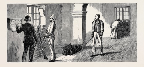 BEFORE THE BOMBARDMENT OF ALEXANDRIA, JULY 7, 1882: PREPARING FOR THE DEFENCE OF THE ALEXANDRIA