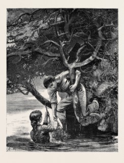KIT, A MEMORY; BY JAMES PAYN: The long looked-for branch.