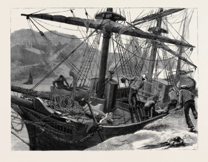 KIT, A MEMORY; BY JAMES PAYN: A sailor fell from the mainmast of a ship in Mogadion harbour, and