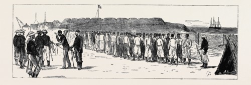 THE WAR IN EGYPT: THE GARRISON OF FORT GHEMILEH SURRENDERING THEIR ARMS TO THE NAVAL BRIGADE, 7 A.M