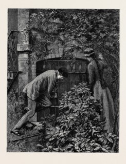 KIT, A MEMORY; BY JAMES PAYN: Three of these iron uprights he shook lightly; each of them in time
