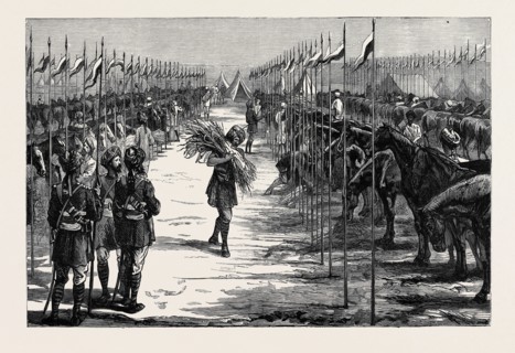 WITH THE INDIAN CONTINGENT IN EGYPT: A CAMP OF THE THIRTEENTH BENGAL LANCERS